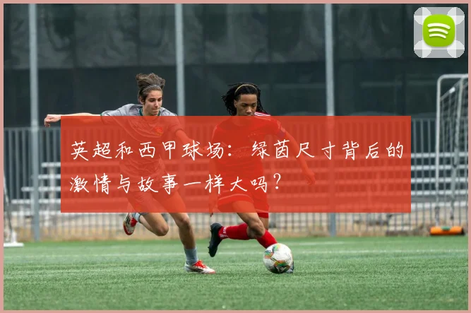 英超和西甲球场:绿茵尺寸背后的激情与故事一样大吗?