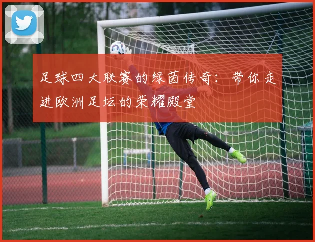 足球四大联赛的绿茵传奇：带你走进欧洲足坛的荣耀殿堂